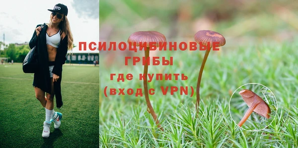 мескалин Арсеньев