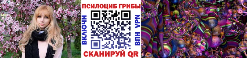 Псилоцибиновые грибы Psilocybe  закладки  Дмитриев 
